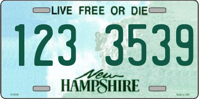 NH license plate 1233539