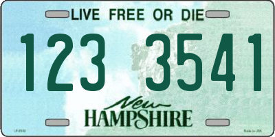 NH license plate 1233541