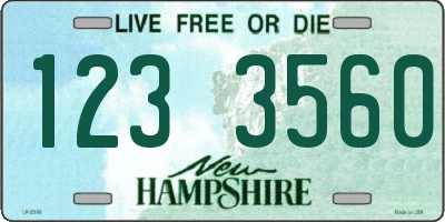 NH license plate 1233560