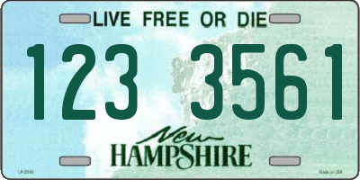 NH license plate 1233561
