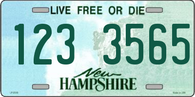 NH license plate 1233565
