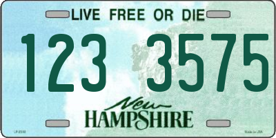 NH license plate 1233575
