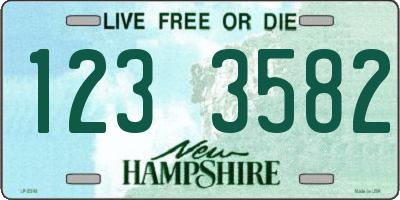 NH license plate 1233582