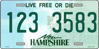 NH license plate 1233583