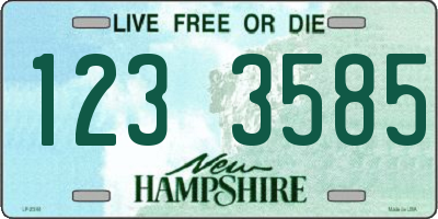 NH license plate 1233585