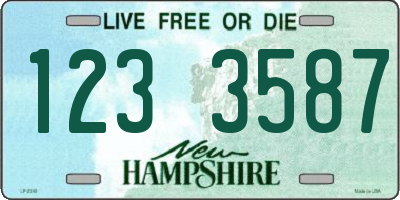 NH license plate 1233587