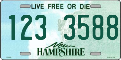 NH license plate 1233588