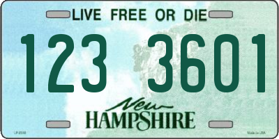 NH license plate 1233601