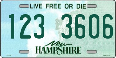 NH license plate 1233606