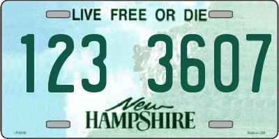 NH license plate 1233607