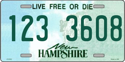 NH license plate 1233608