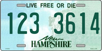 NH license plate 1233614