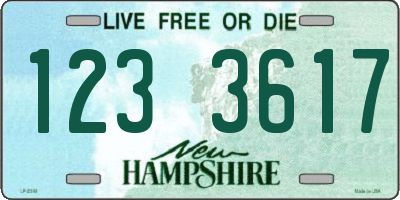 NH license plate 1233617