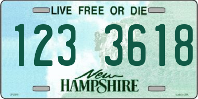 NH license plate 1233618