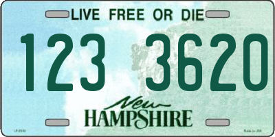 NH license plate 1233620