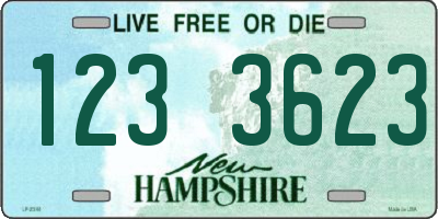 NH license plate 1233623
