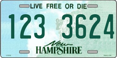 NH license plate 1233624