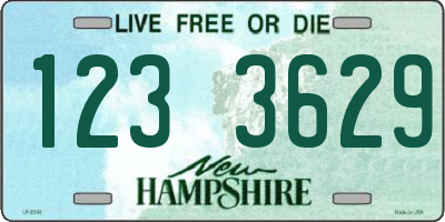 NH license plate 1233629