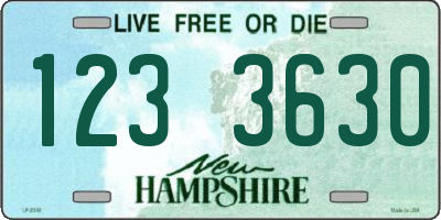 NH license plate 1233630