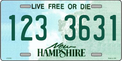 NH license plate 1233631