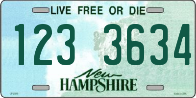 NH license plate 1233634