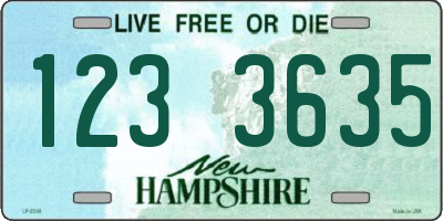 NH license plate 1233635