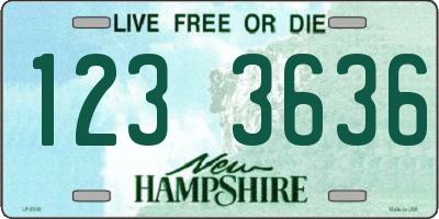 NH license plate 1233636