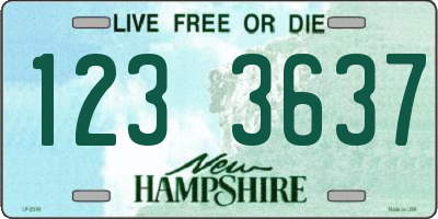 NH license plate 1233637