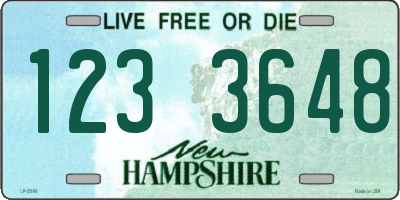 NH license plate 1233648