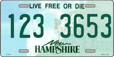 NH license plate 1233653