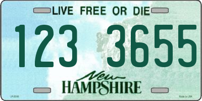 NH license plate 1233655