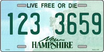NH license plate 1233659