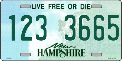 NH license plate 1233665