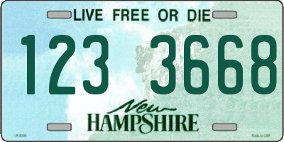NH license plate 1233668