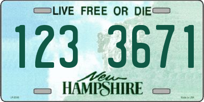 NH license plate 1233671