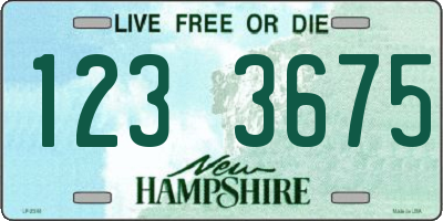 NH license plate 1233675