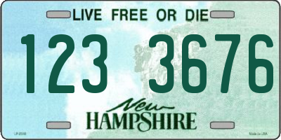 NH license plate 1233676