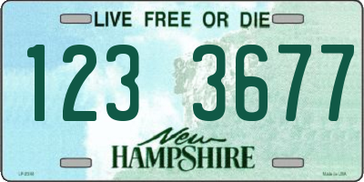 NH license plate 1233677