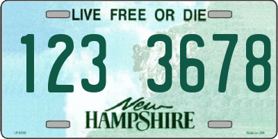 NH license plate 1233678