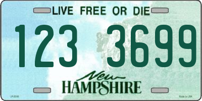 NH license plate 1233699