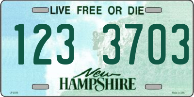 NH license plate 1233703