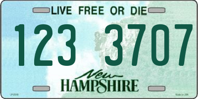 NH license plate 1233707