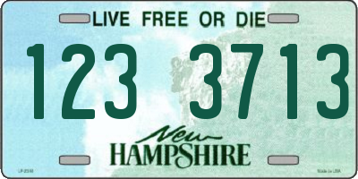 NH license plate 1233713