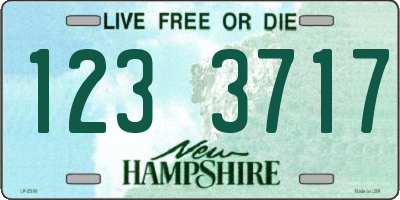 NH license plate 1233717