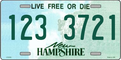 NH license plate 1233721