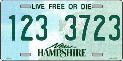 NH license plate 1233723