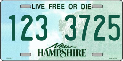 NH license plate 1233725