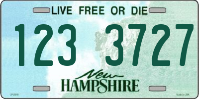 NH license plate 1233727