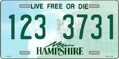 NH license plate 1233731