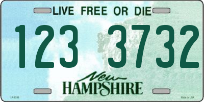 NH license plate 1233732